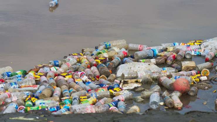 Guvernul va adopta un proiect de reducere a impactului anumitor produse din plastic asupra mediului