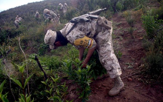 Raport DEA: Harta prezenţei cartelurilor mexicane de droguri în SUA. În Mexic, copii de cinci ani pun mâna pe arme pentru a-şi proteja familiile