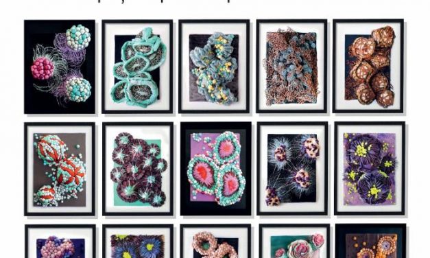 Expoziţie de creaţii textile ale studenţilor de la Universitatea Naţională de Arte - de marţi, la Muzeul Antipa