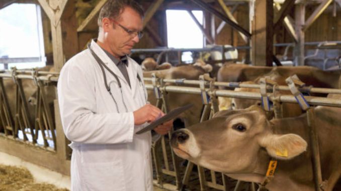Colegiul Medicilor Veterinari acuză Consiliul Concurenţei de jocuri în favoarea multinaţionalelor care vând produse veterinare
