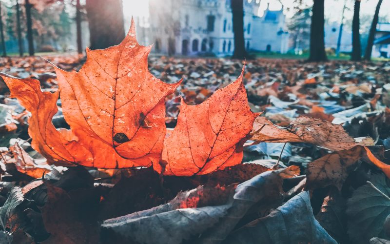 Sfârşit de octombrie cu minime de 2 grade, vreme mai caldă în noiembrie. Prognoza meteo pentru următoarele două săptămâni