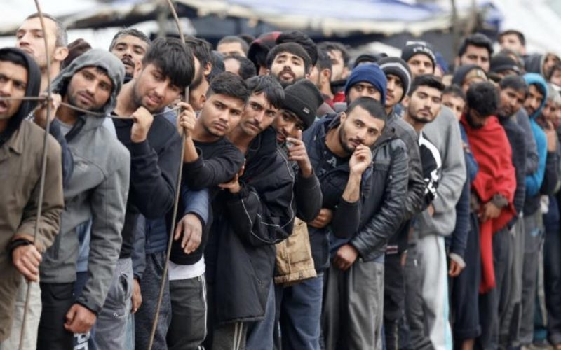 Migranţii devin tot mai importanţi pe piaţa muncii, arată un studiu al OIM