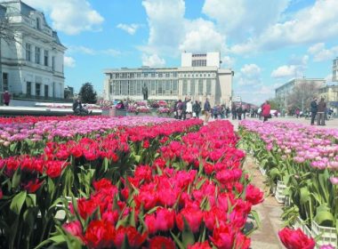 Paradă la Piteşti de Simfonia Lalelelor